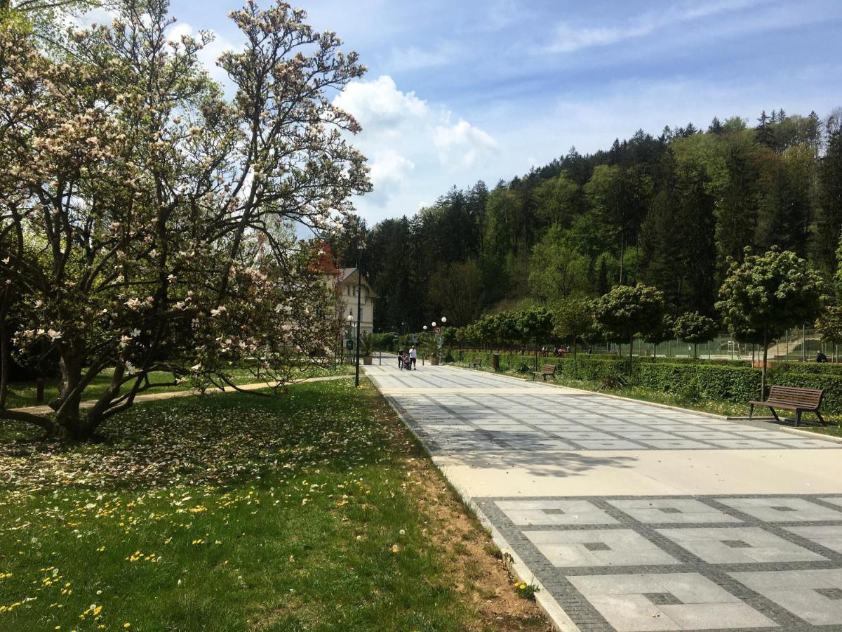 Homestay V Soukromi Luzne